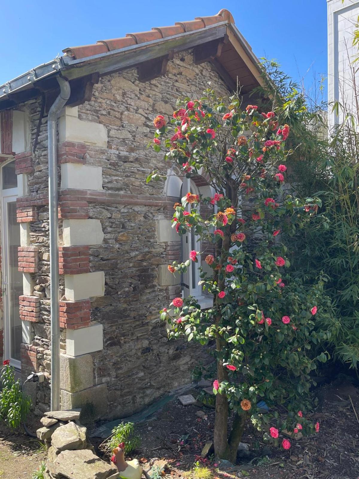 Logement Entier - La Laiterie De La Plume Ναντ Εξωτερικό φωτογραφία